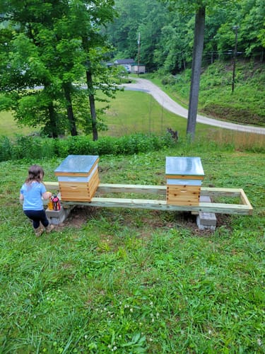 Customer photo review of BeeCastle Beehive 2 SETS 10 Frame 4 Layer:Beeswax Coated Bee Hive Kit with 2 Deep Brood Bee Boxes,2 Super Boxes,Complete with Wooden Frames and Beeswax Plastic Foundation.