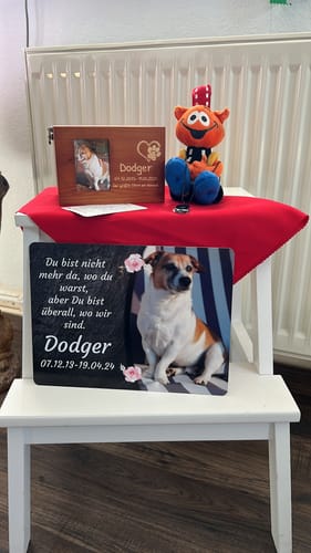 Customer photo review of Hunde Gedenktafel mit Foto & Spruch (UV- & Wetterfest)