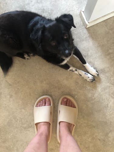 Customer photo review of HappyFlops Original
