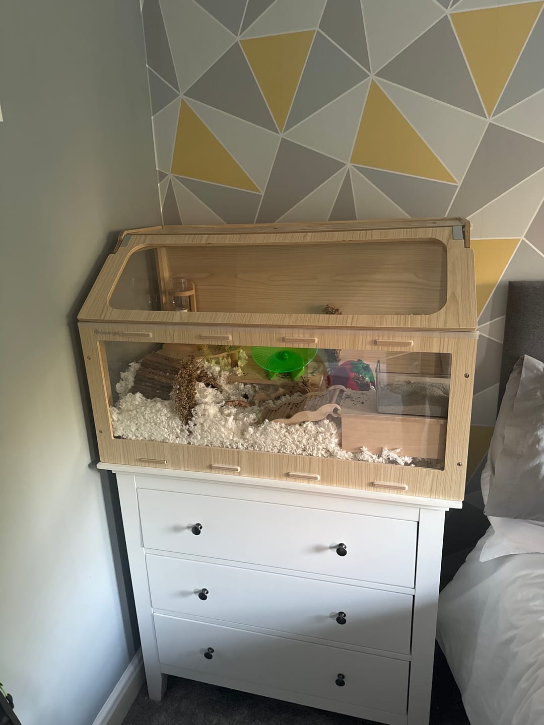 Customer photo review of Niteangel Vista Hamster Cage W/ Oblique Opening - MDF Aspen Small Animal Cage for Syrian Dwarf Hamsters Degus Mice or Other Similar-Sized Pets