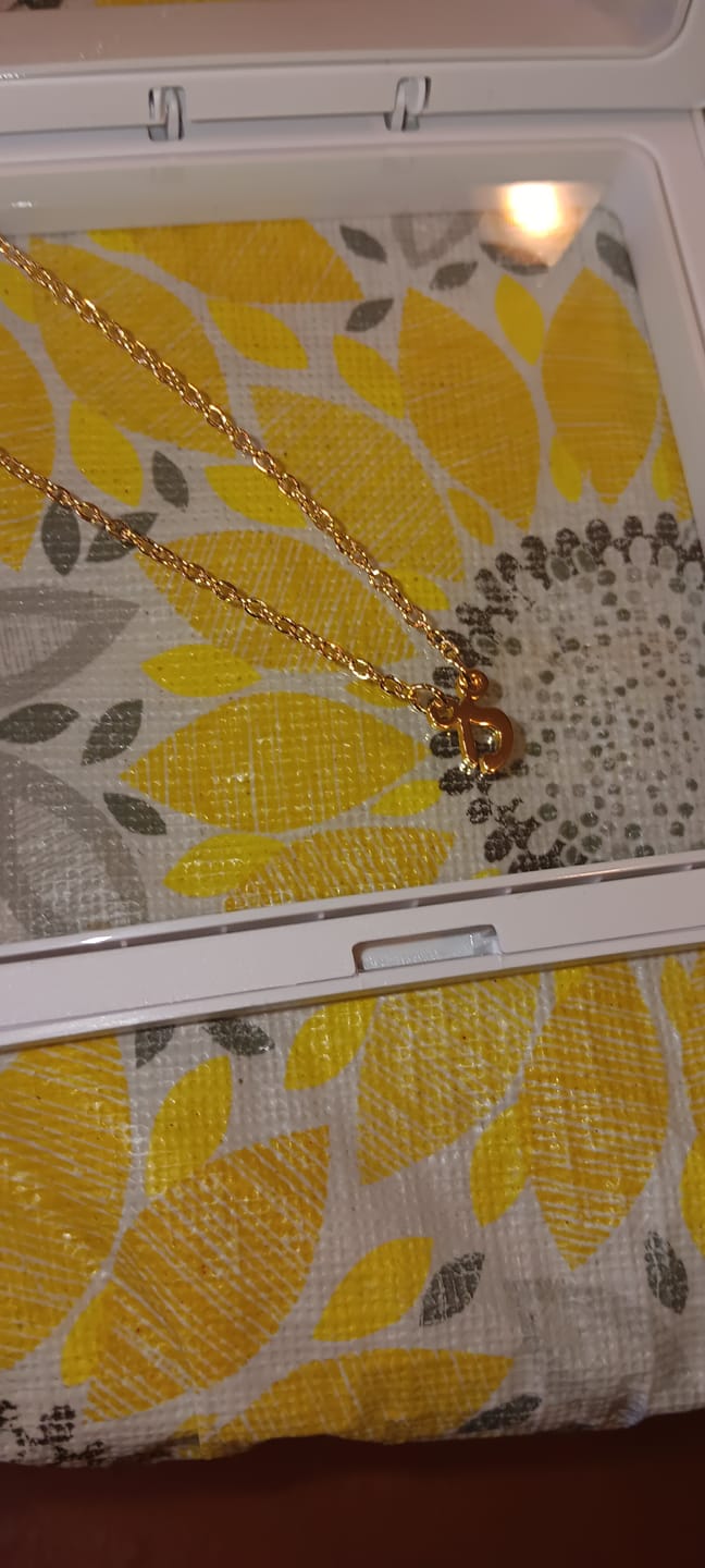 Customer photo review of Small Letter Necklace