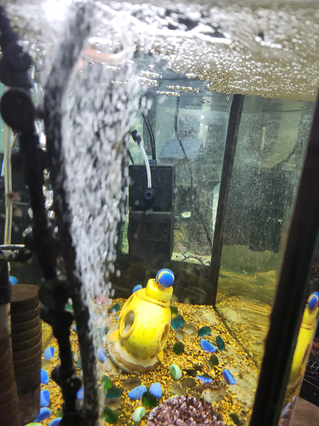 Customer photo review of Shark PRO