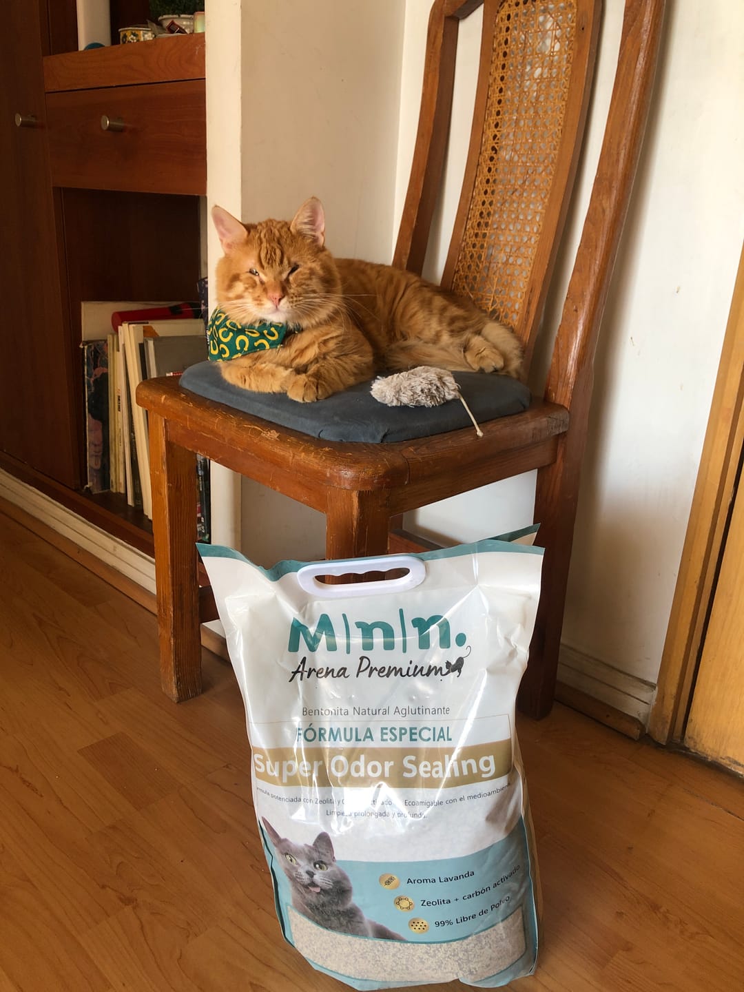 Customer photo review of Arena Minino 48kg - Carbón Activado [Nueva]