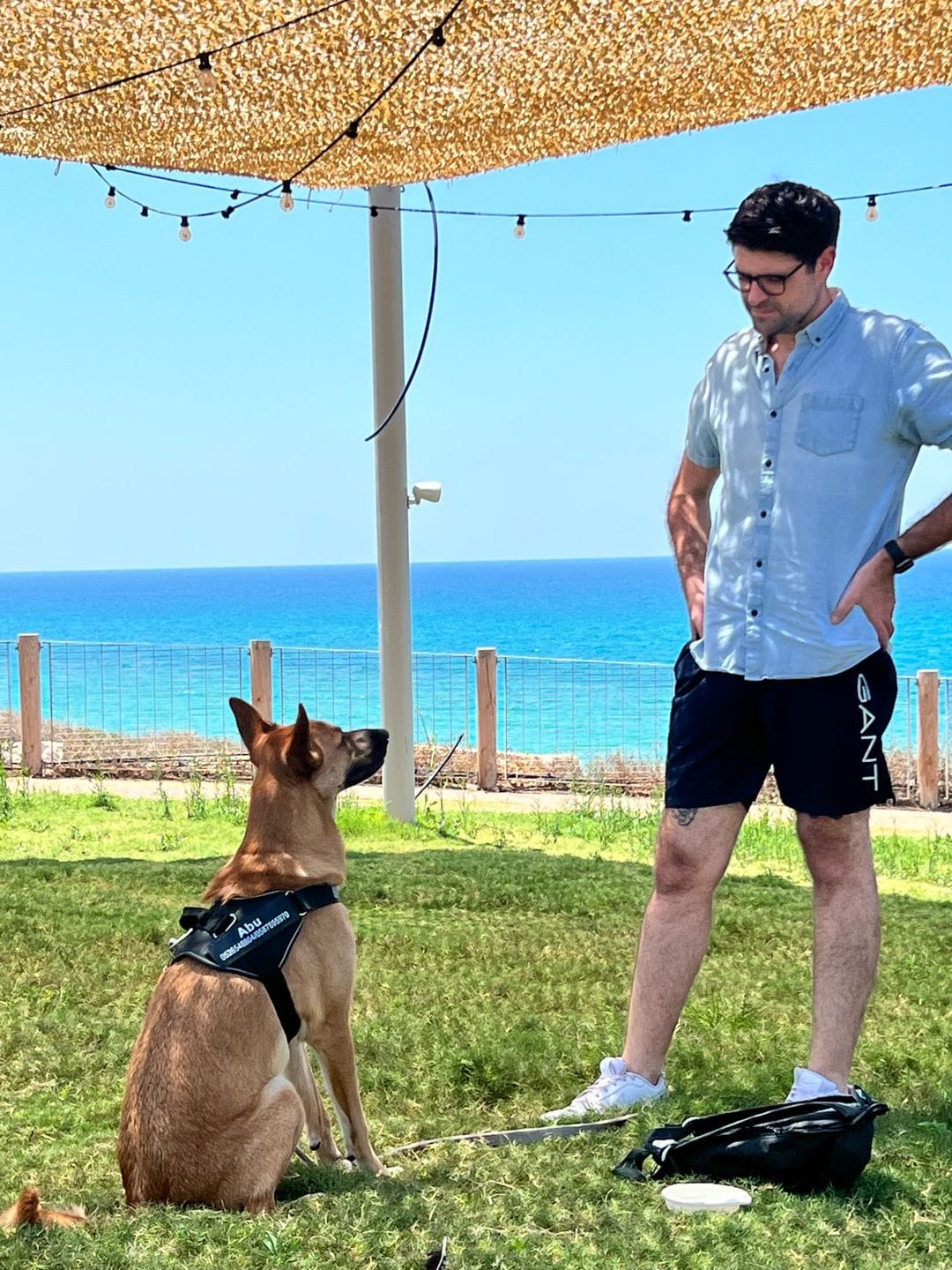 Customer photo review of MellowPurr Özelleştirilebilir No Pull Köpek Tasması
