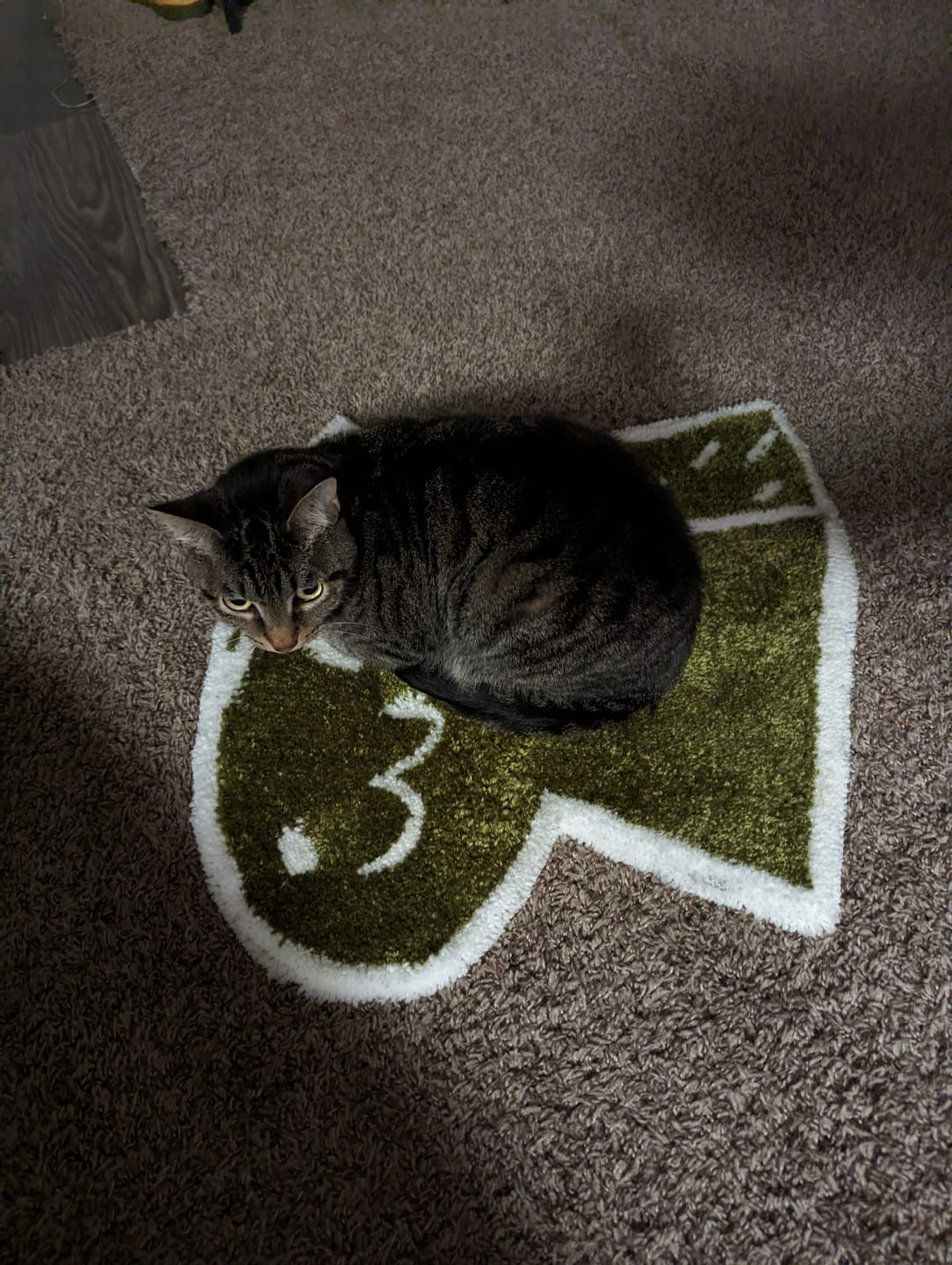 Customer photo review of The Spider — Cut & Loop Pile Tufting Machine