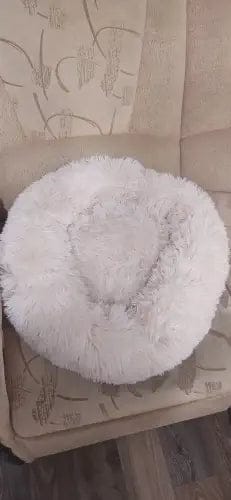 Customer photo review of Mellowpurr Huzurlu Paws Yatağı | Süper Yumuşak