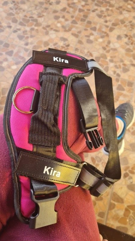 Customer photo review of MellowPurr Özelleştirilebilir No Pull Köpek Tasması