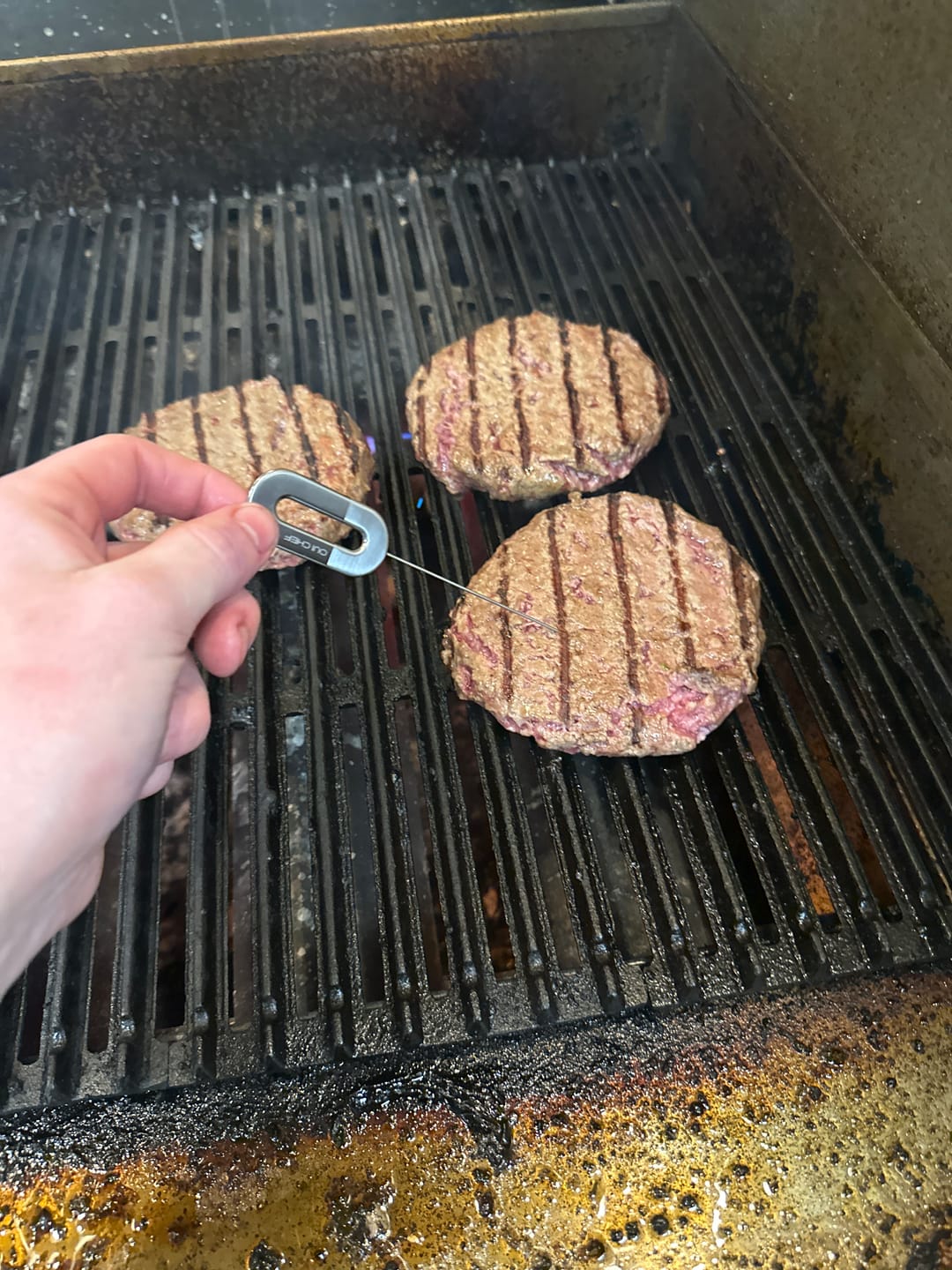 Customer photo review of 'OnPoint' Chef's Testing Needle