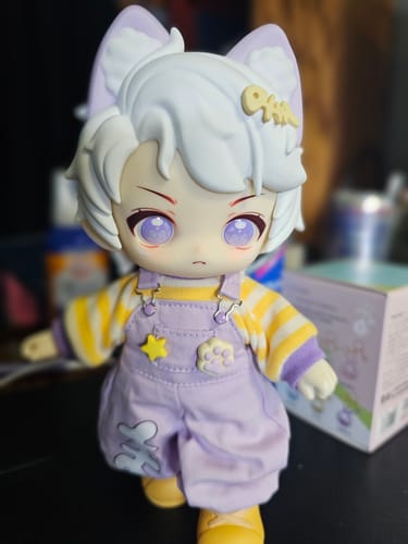 Customer photo review of HANI Sweet Dreamland Large Size Action Figure BJD Blind Box
