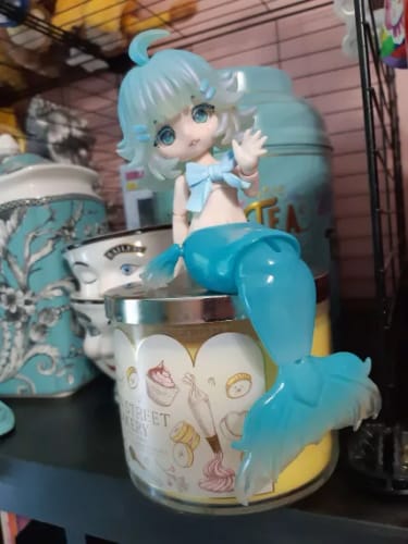 Customer photo review of Mermaid Chuchu Series Action Figure BJD Blind Box