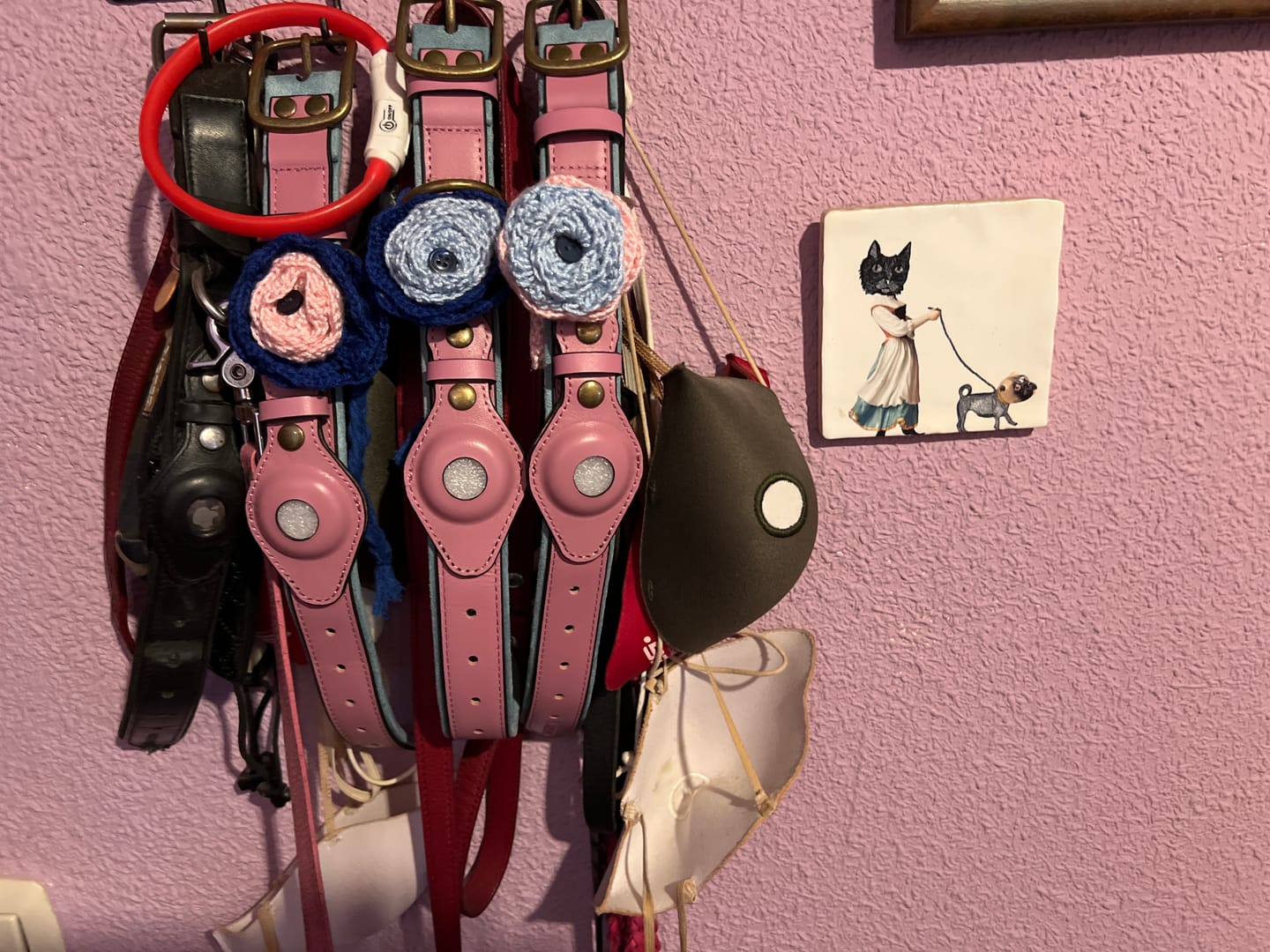 Customer photo review of Keepaws™ Leather AirTag Collar