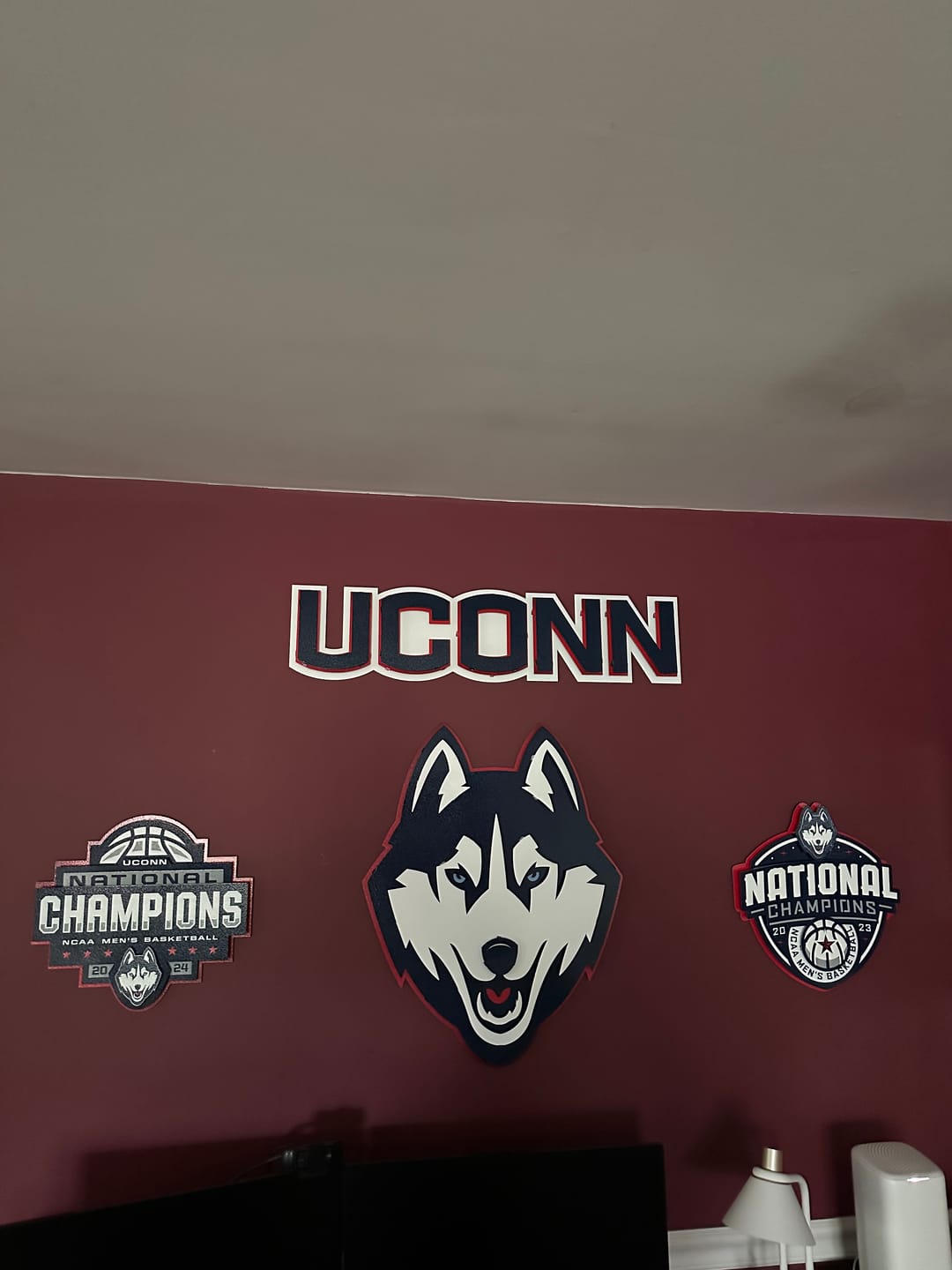 Customer photo review of UCONN Huskies 2024 National Champions 3D Metal Wall Art