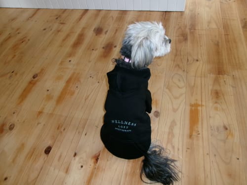 Customer photo review of Custom DOG hoodies