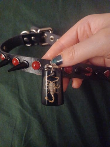 Customer photo review of Red Scorpio 1of1