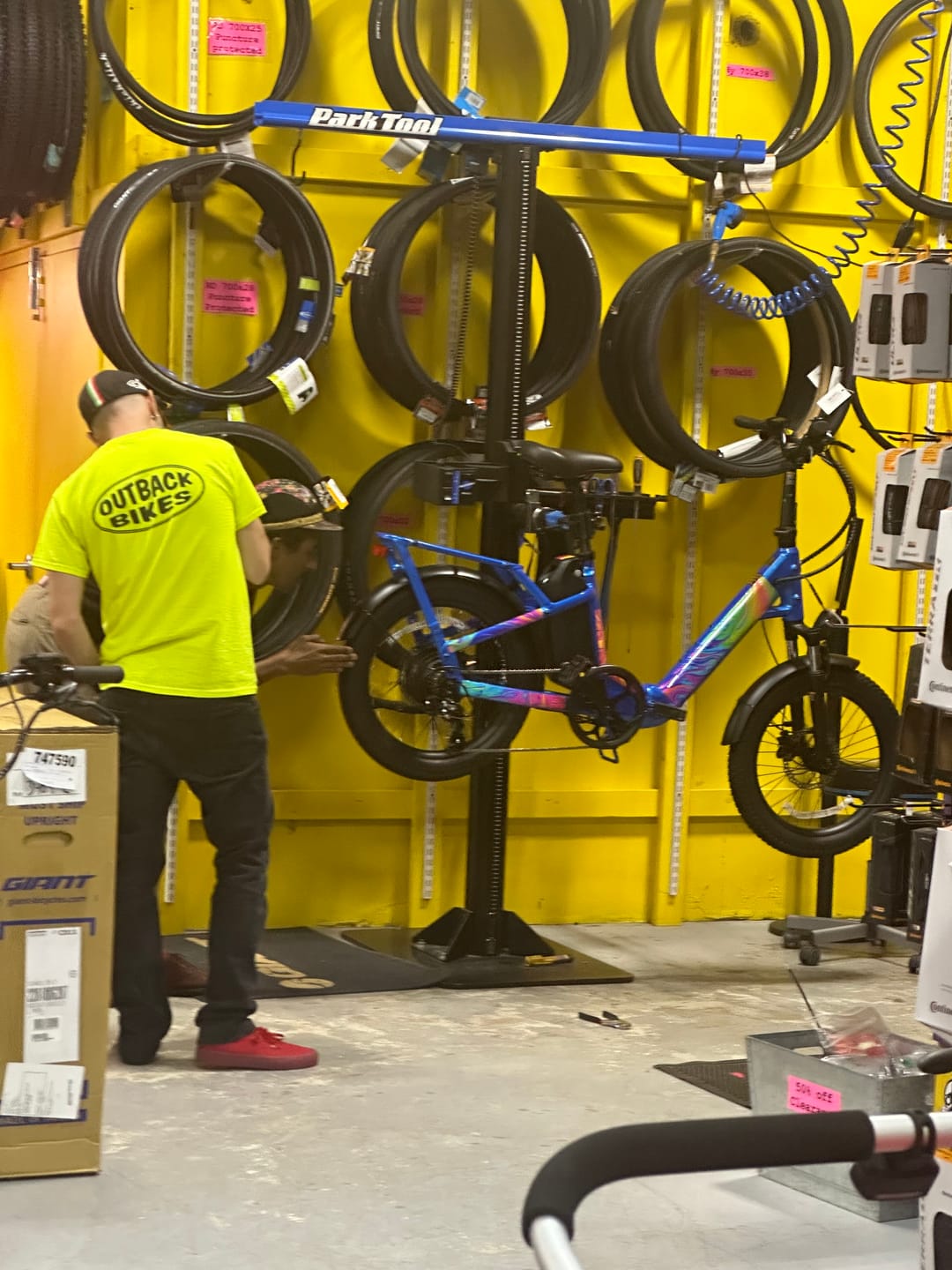 Customer photo review of Oil Slick Frame Keeper