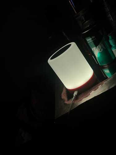 Customer photo review of Friendship Lamp