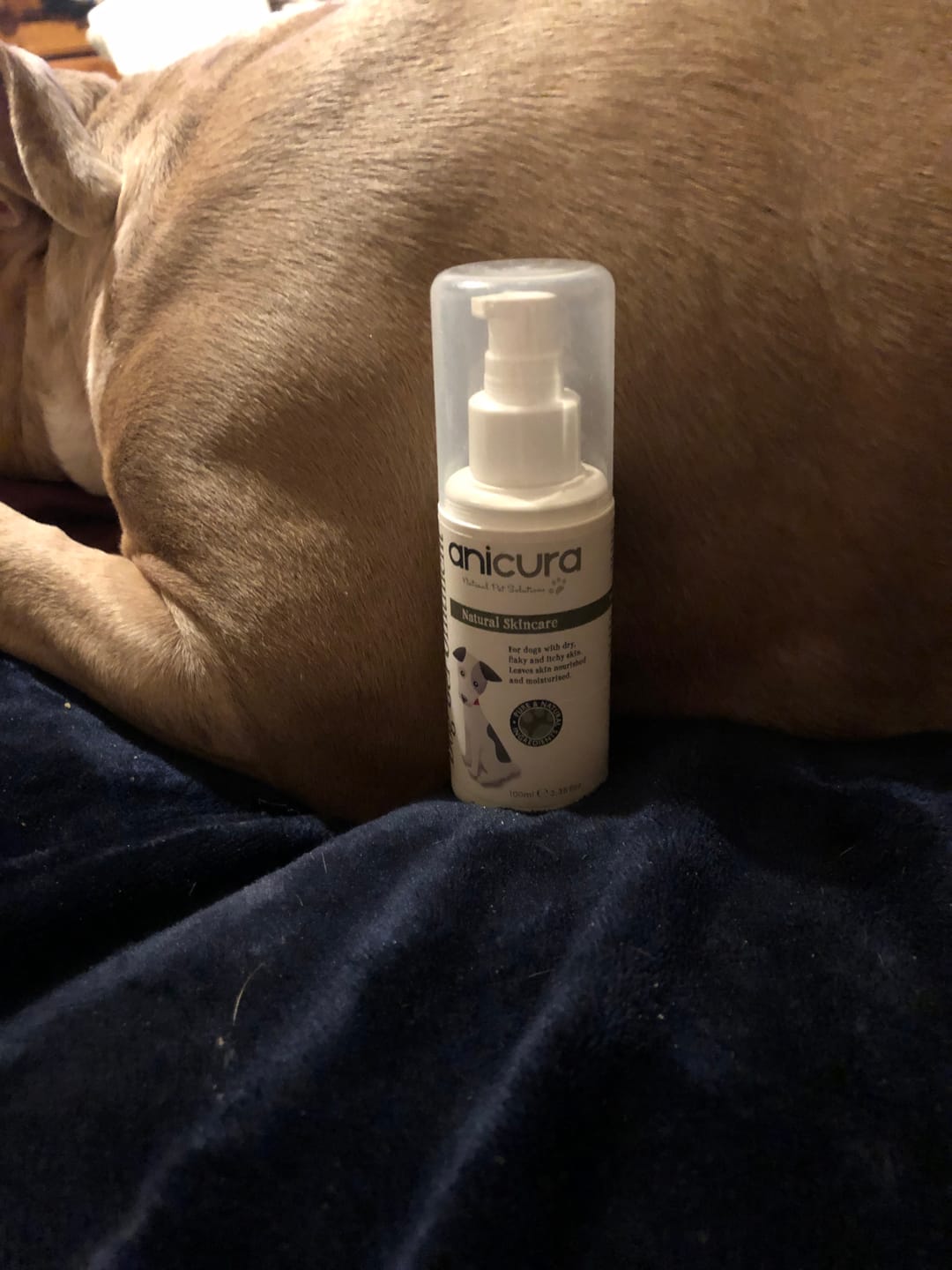 Customer photo review of Dog Duo Pack