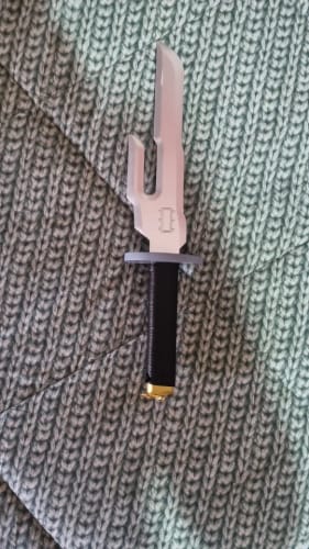 Customer photo review of Toji Fushiguro Inverted Spear of Heaven