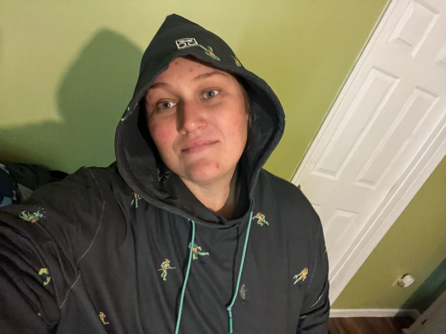 Customer photo review of Teenage Mutant Ninja Turtles "Choose Your Turtle (At Night)" – Performance Hoodie
