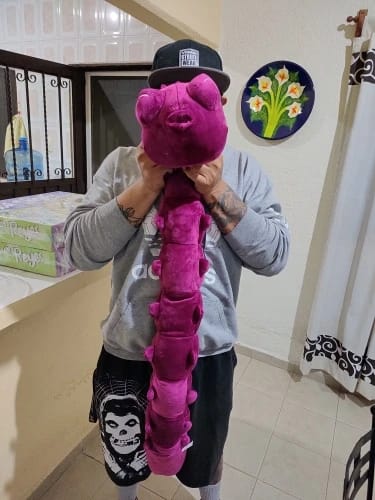 Customer photo review of Toji Fushiguro Cursed Spirit Plush
