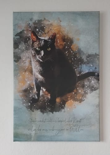 Customer photo review of Deine Katze als Aquarell Tierportrait | Geschenk für Katzenliebhaber