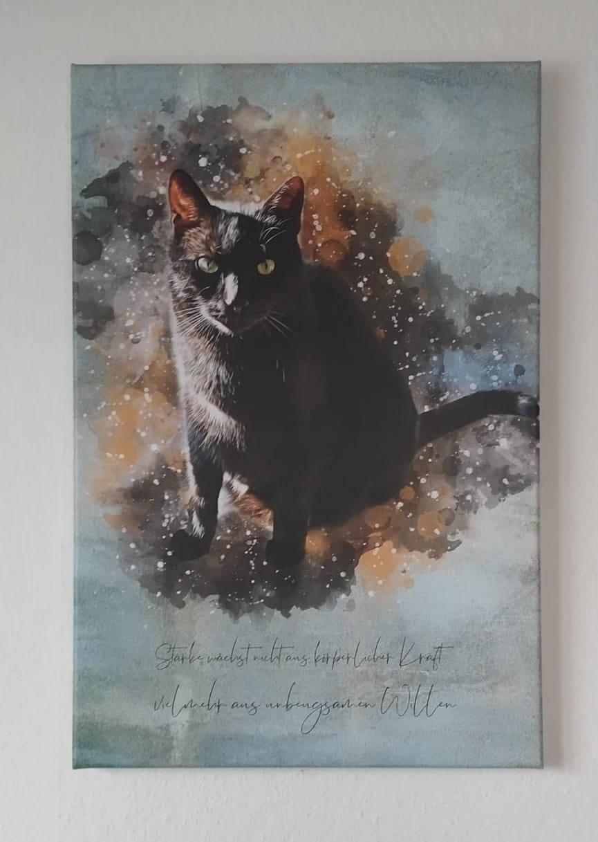 Customer photo review of Deine Katze als Aquarell Tierportrait | Geschenk für Katzenliebhaber