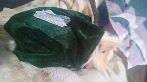 Customer photo review of Pet Survey Corps Cloak