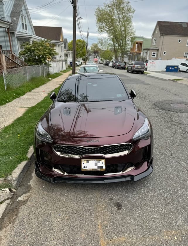 Customer photo review of Glossy Metallic Black Rose Vinyl Wrap