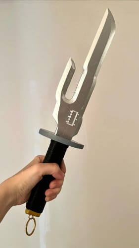 Customer photo review of Toji Fushiguro Inverted Spear of Heaven