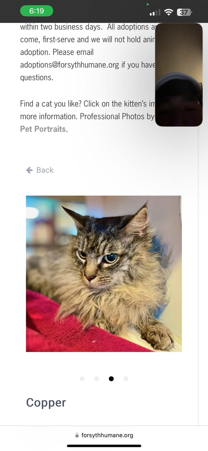 Customer photo review of 24” Extra Piece 6 inches wide