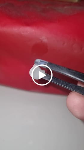 Customer video review of DODOBEAR