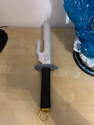 Customer photo review of Toji Fushiguro Inverted Spear of Heaven