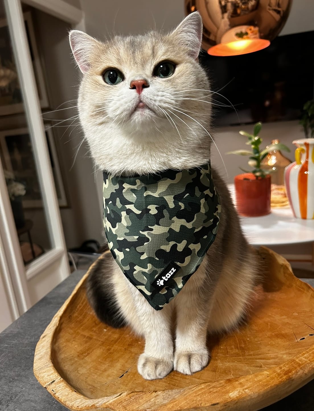 Customer photo review of Bandana - Pink Flower