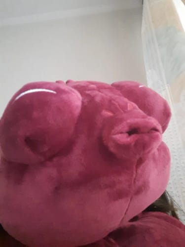 Customer photo review of Toji Fushiguro Cursed Spirit Plush