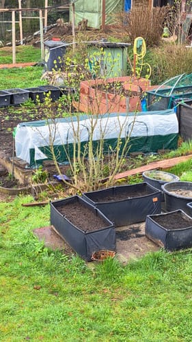 Customer photo review of Folientunnel "SuperDome" L 300cm mit extra starke 90g/m² Gewächshausfolie