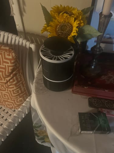 Customer photo review of Flyminator - Fruit Fly Trap