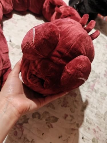 Customer photo review of Toji Fushiguro Cursed Spirit Plush