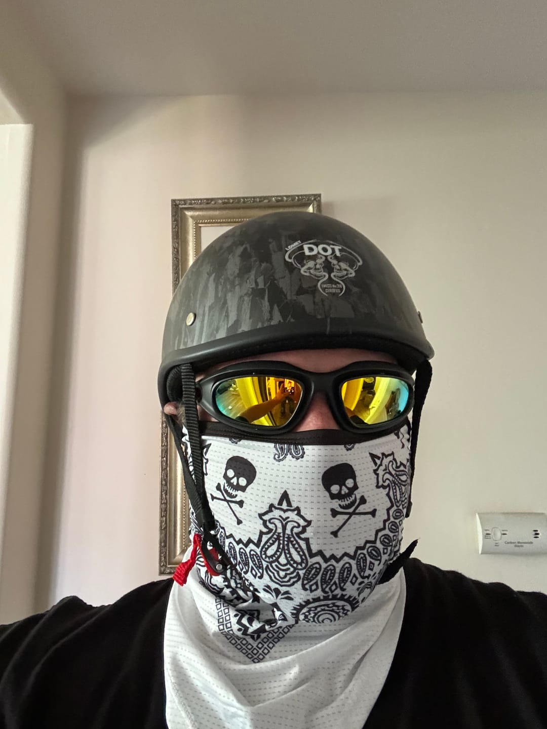 Customer photo review of Low Profile Reversible DOT Polo Helmet / Carbon Fiber