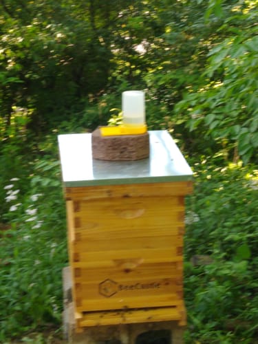 Customer photo review of BeeCastle 8-Frame Langstroth Beehive – 100% Beeswax Coated with Pine Wooden Frames and Waxed Foundations, Includes 2 Deep Brood Boxes and 2 Medium Supers