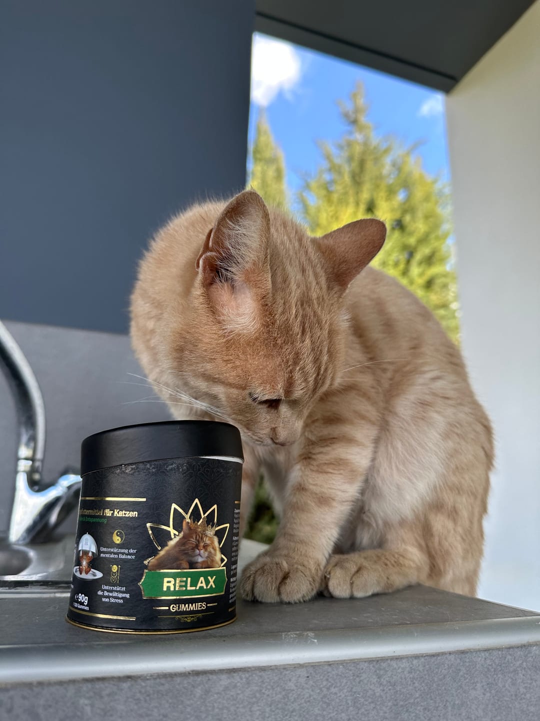 Customer photo review of Relax Gummies