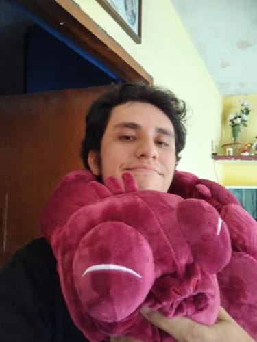 Customer photo review of Toji Fushiguro Cursed Spirit Plush