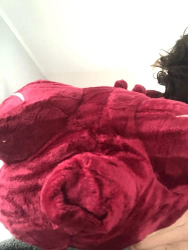 Customer photo review of Toji Fushiguro Cursed Spirit Plush