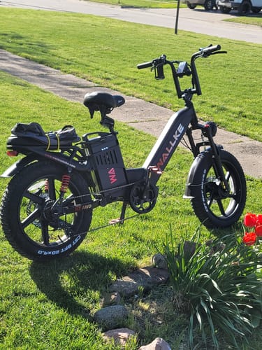 Customer photo review of Wallke H7 Step-thru AWD