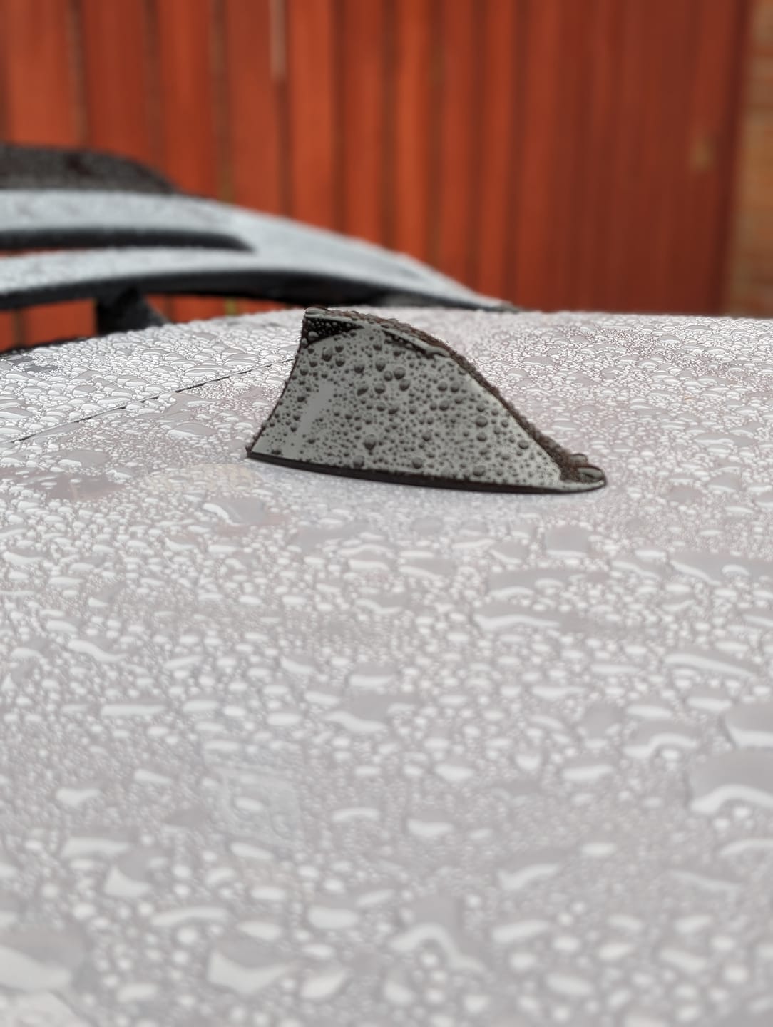 Customer photo review of 'Shark Fin' Aerial (Painted) - Mk3/3.5 Ford Focus / Mk8 Ford Fiesta