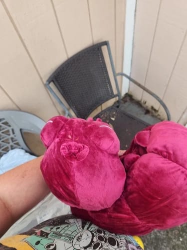 Customer photo review of Toji Fushiguro Cursed Spirit Plush