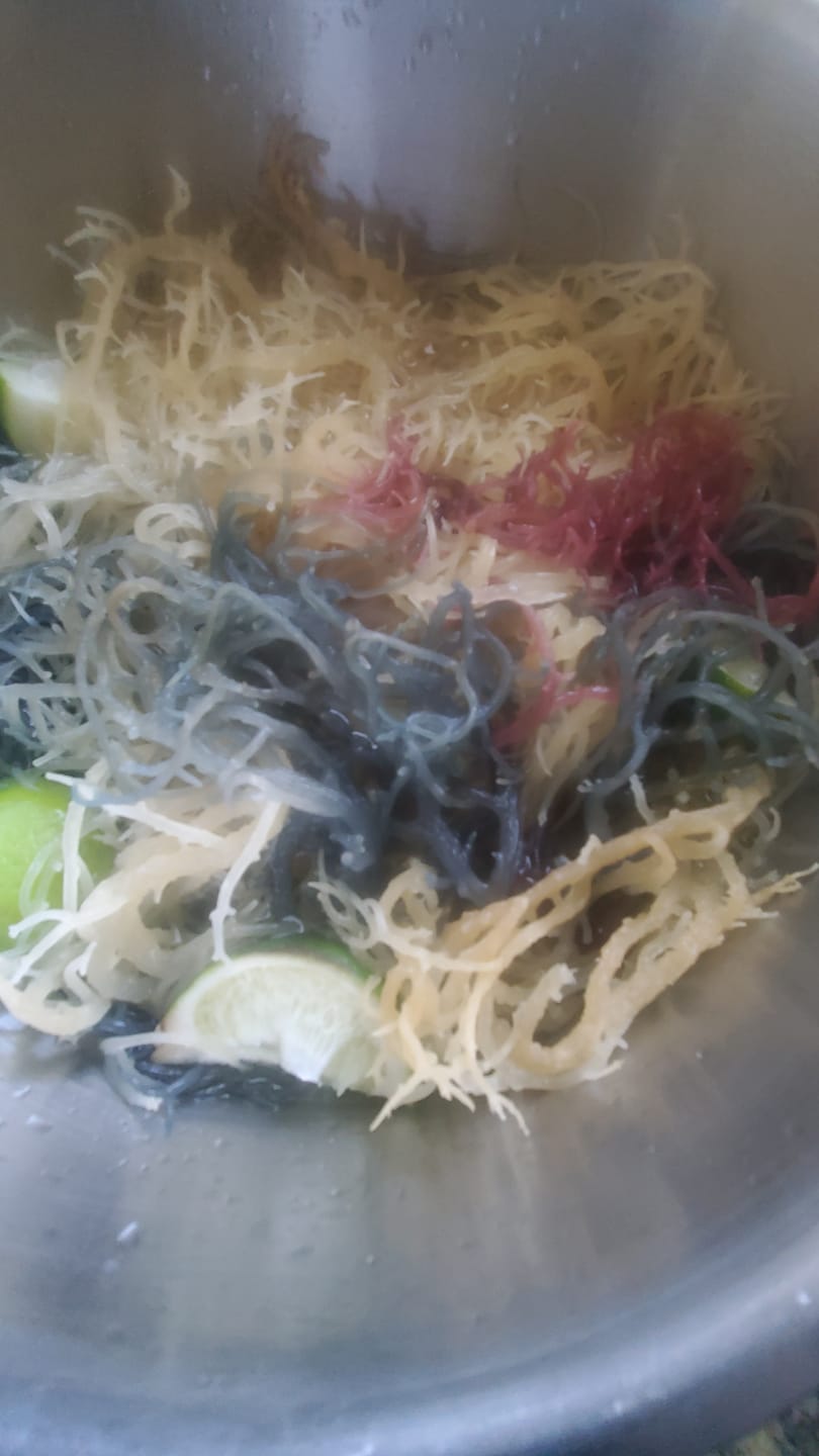 Customer photo review of Full Spectrum Irish Sea moss