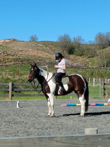 Customer photo review of Stubben Hamanol Leather Conditioner