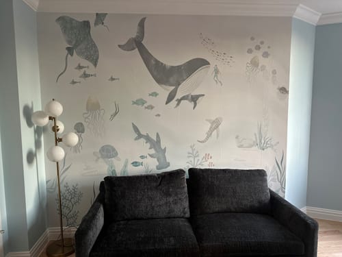 Customer photo review of Under the Sea Wallpaper