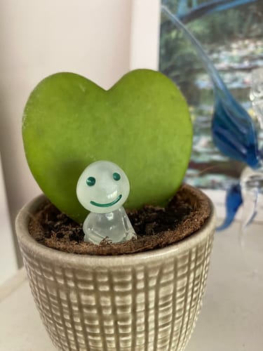 Customer photo review of Figurines Esprits de la Forêt