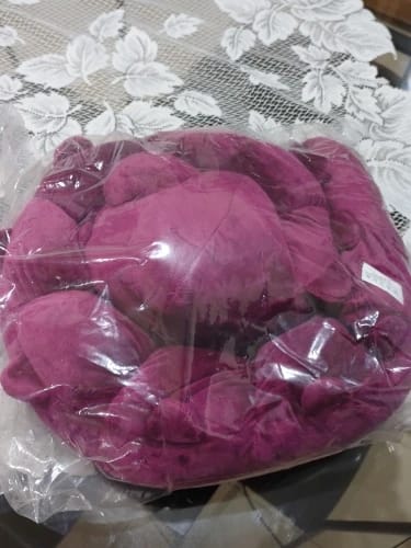 Customer photo review of Toji Fushiguro Cursed Spirit Plush
